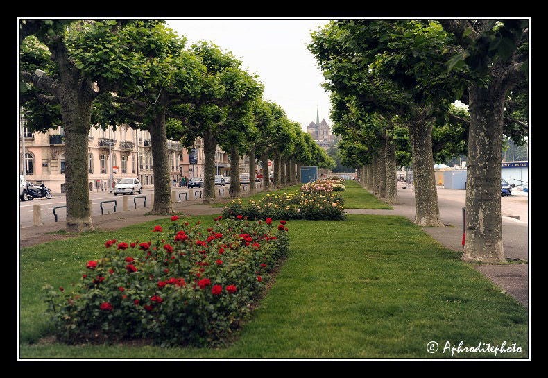 101 La promenade du quai Gustave Ador
